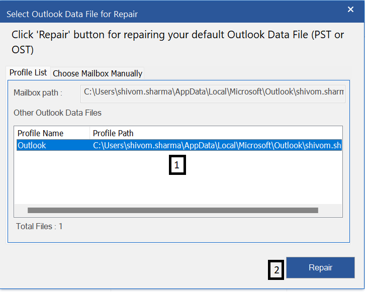 click Repair to start the scan